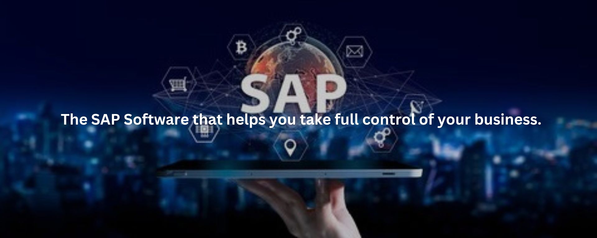 SAP Software Applications For Business Development | Indianmesh